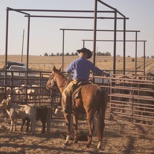 Meet your Posher, Darren
